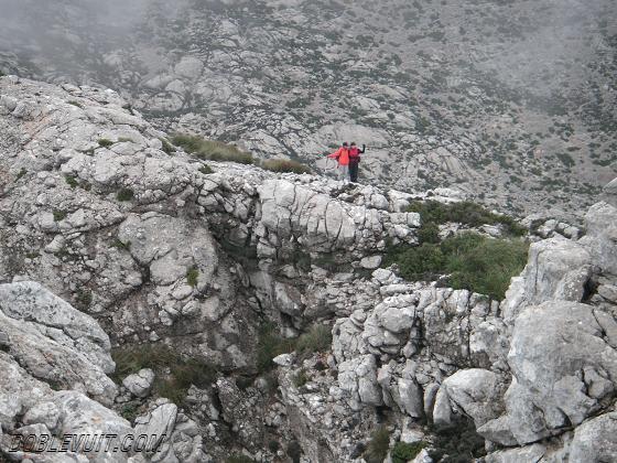 pUIG DE SES BASSETES